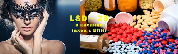 прущие грибы Абаза