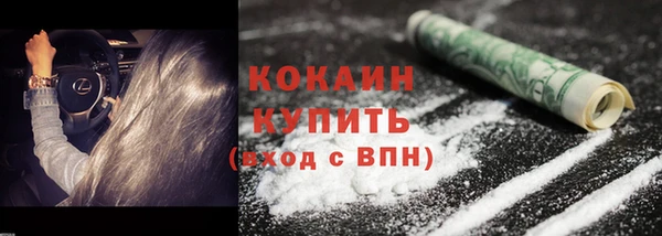 прущие грибы Абаза
