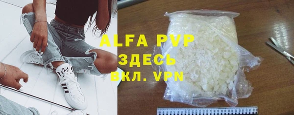 прущие грибы Абаза
