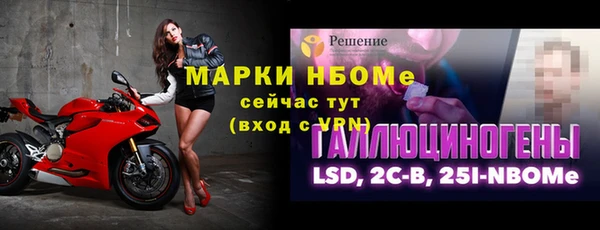 прущие грибы Абаза