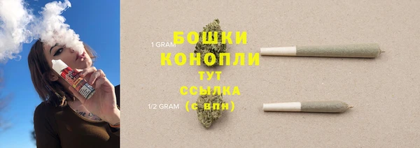 прущие грибы Абаза