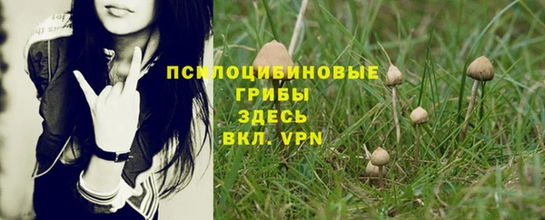 хмурый Абинск