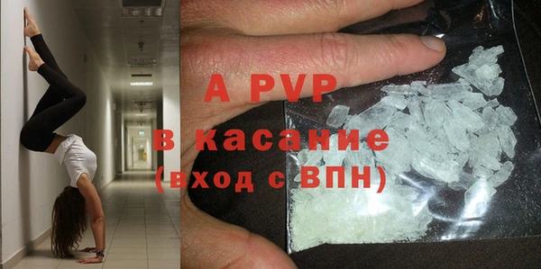 прущие грибы Абаза