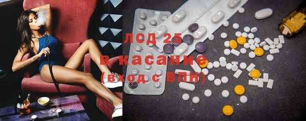 прущие грибы Абаза