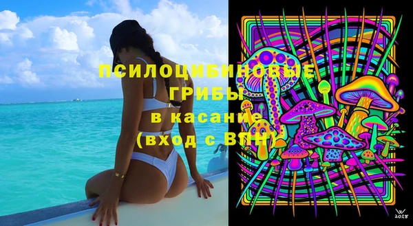 прущие грибы Абаза