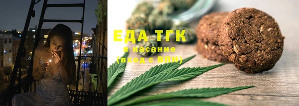 прущие грибы Абаза
