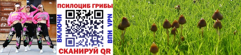 Псилоцибиновые грибы прущие грибы  Владикавказ 