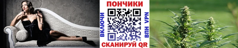 Каннабис White Widow  Владикавказ 